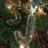 jennifer_clarkeschaffer avatar