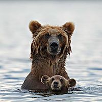 david_coslett_90 avatar