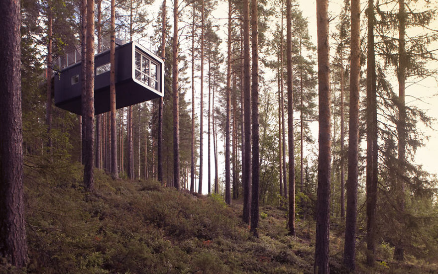 The Cabin (treehotels), Harads, Sweden