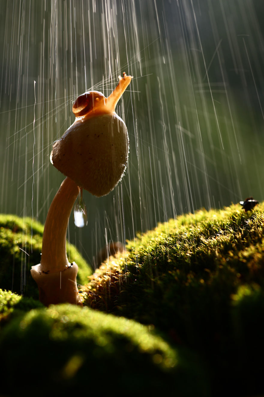 Close Up: Magic Of Nature By Vadim Trunov Close Up: Magic Of Nature By Vadim Trunov