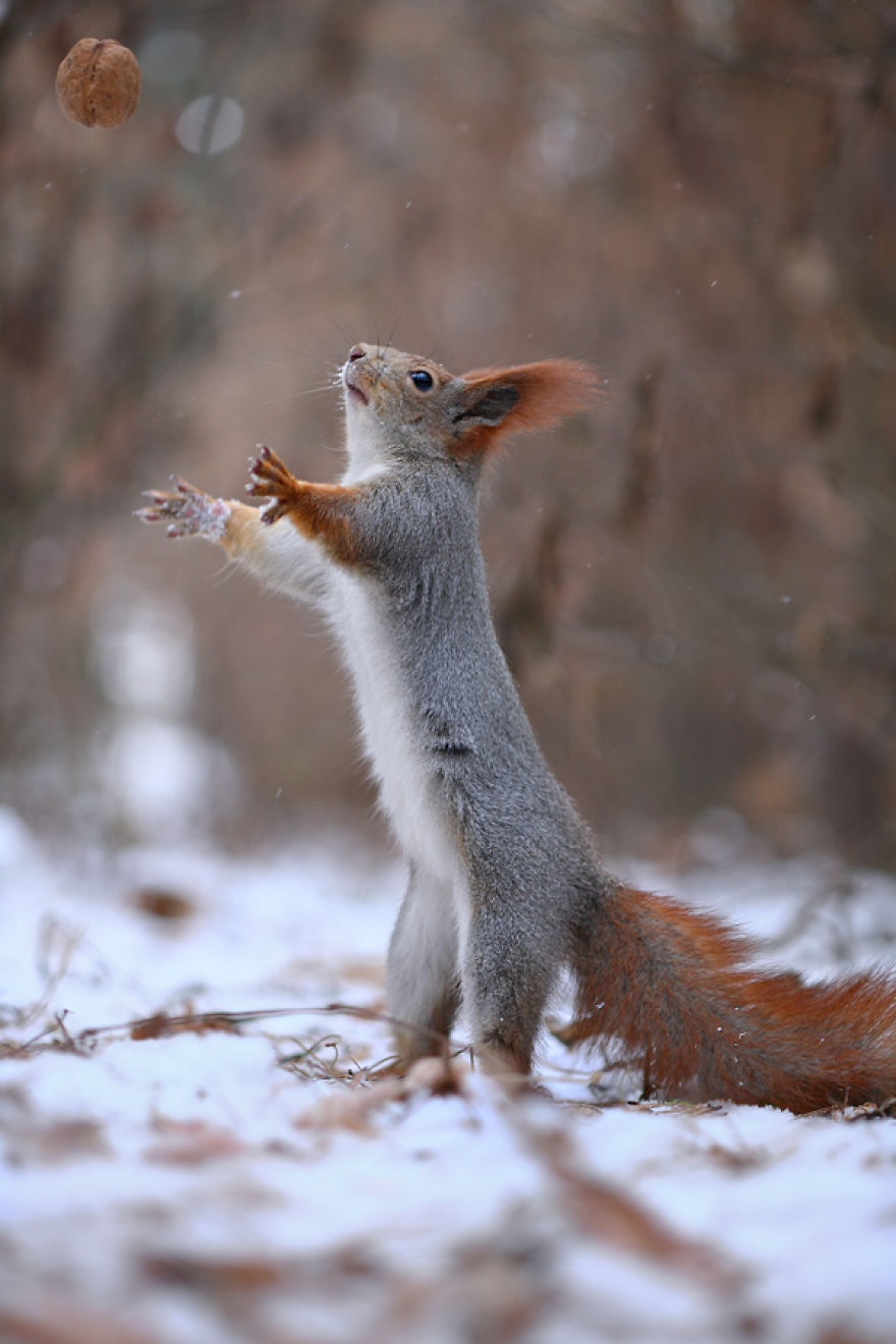 Close Up: Magic Of Nature By Vadim Trunov Close Up: Magic Of Nature By Vadim Trunov