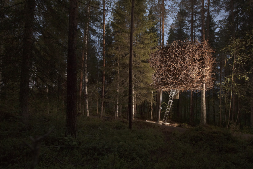 The Bird’s Nest (treehotels), Harads, Sweden