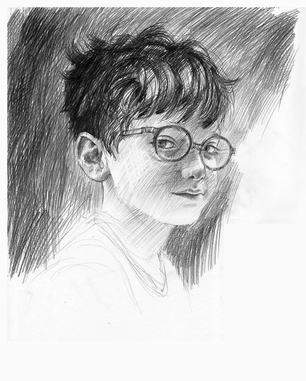 Artwork For The Deluxe Harry Potter Book Edition
