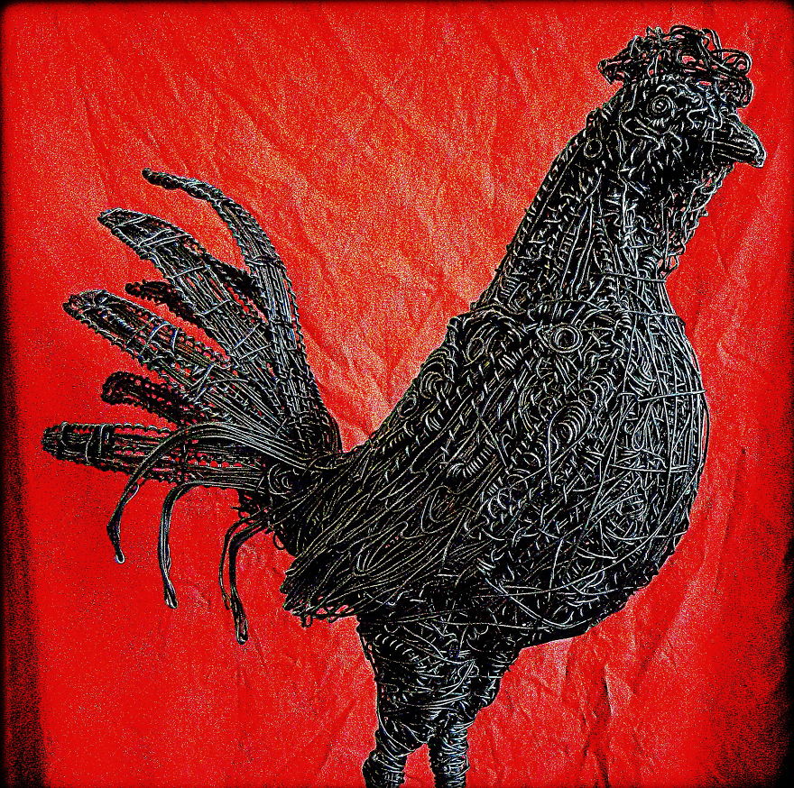 Rooster By Zak Gere