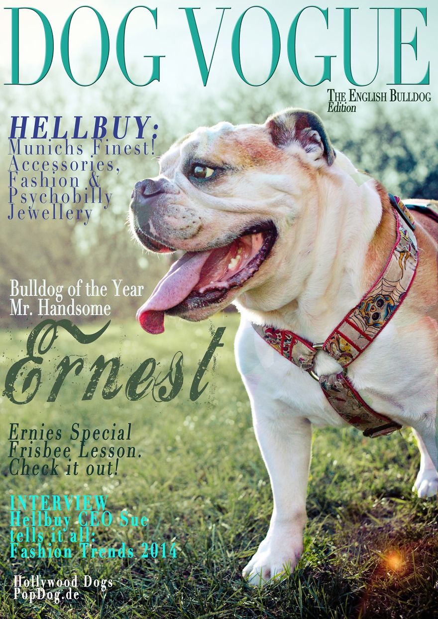 Dog Vogue