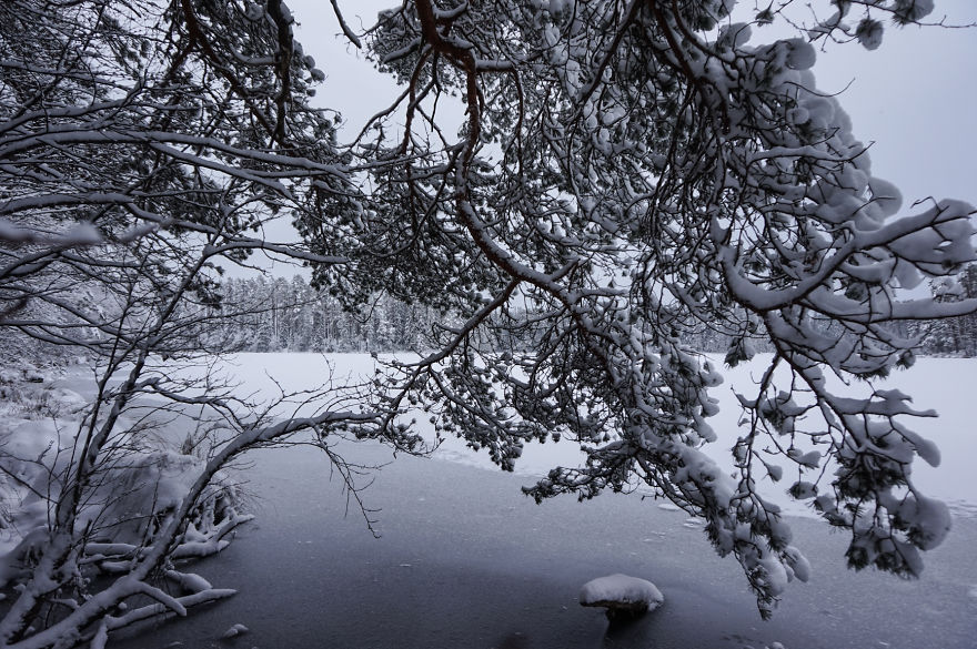 Estonian Winter Wonderland