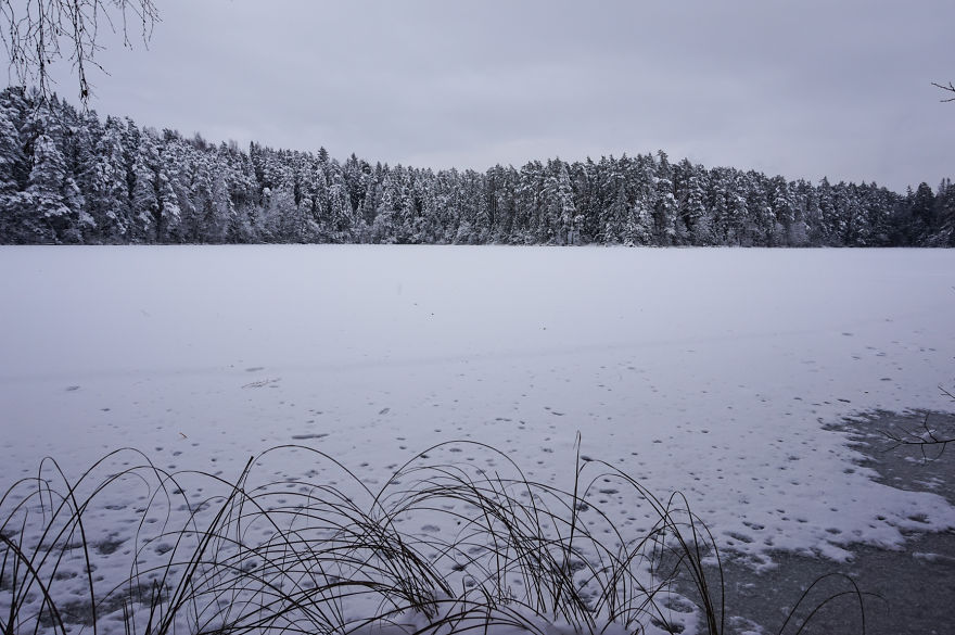 Estonian Winter Wonderland
