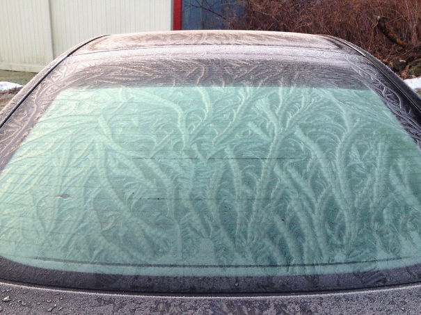 Intricate Ice Patterns On My Car This Morning