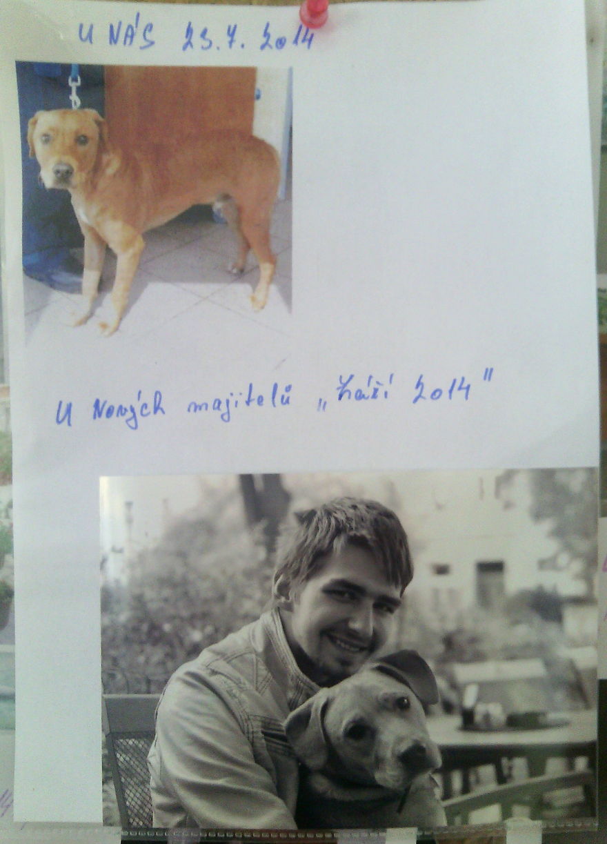 Stitch ♥ ...picture From The Bulletin Board In A Dog Shelter...