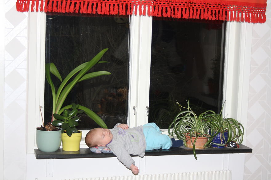 My Son Is So Small He Can Fit Almost Everywhere