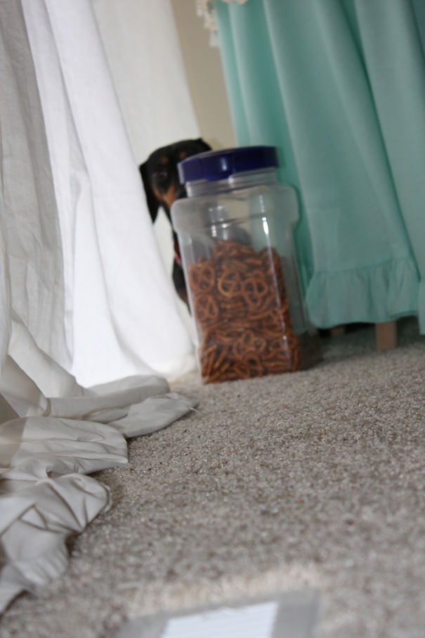 Jasmine Hides Behind The Pretzel Jar