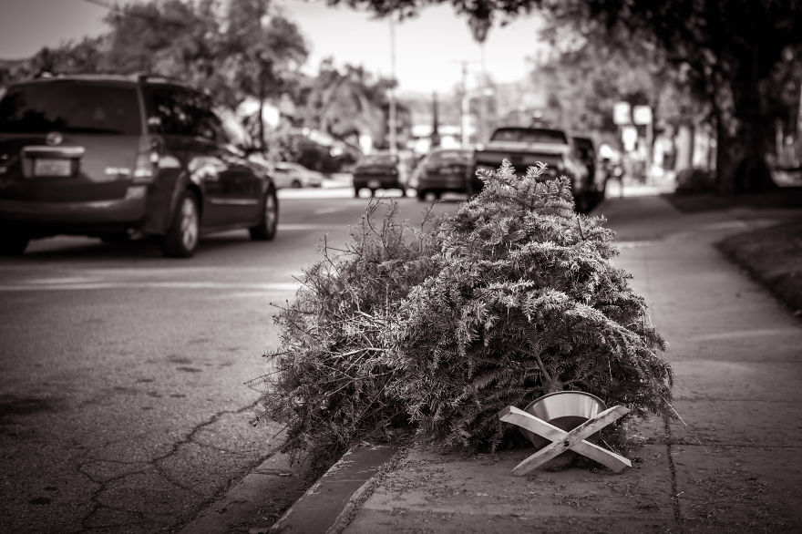 Kinesthetic Sympahty - Oh, Christmas Tree