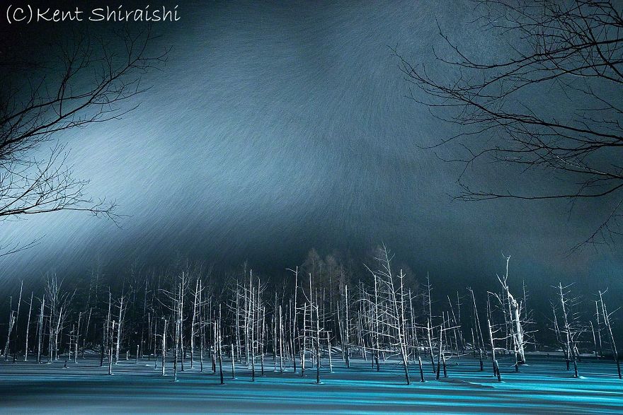 The Frozen Blue Pond In Snow,hokkaido
