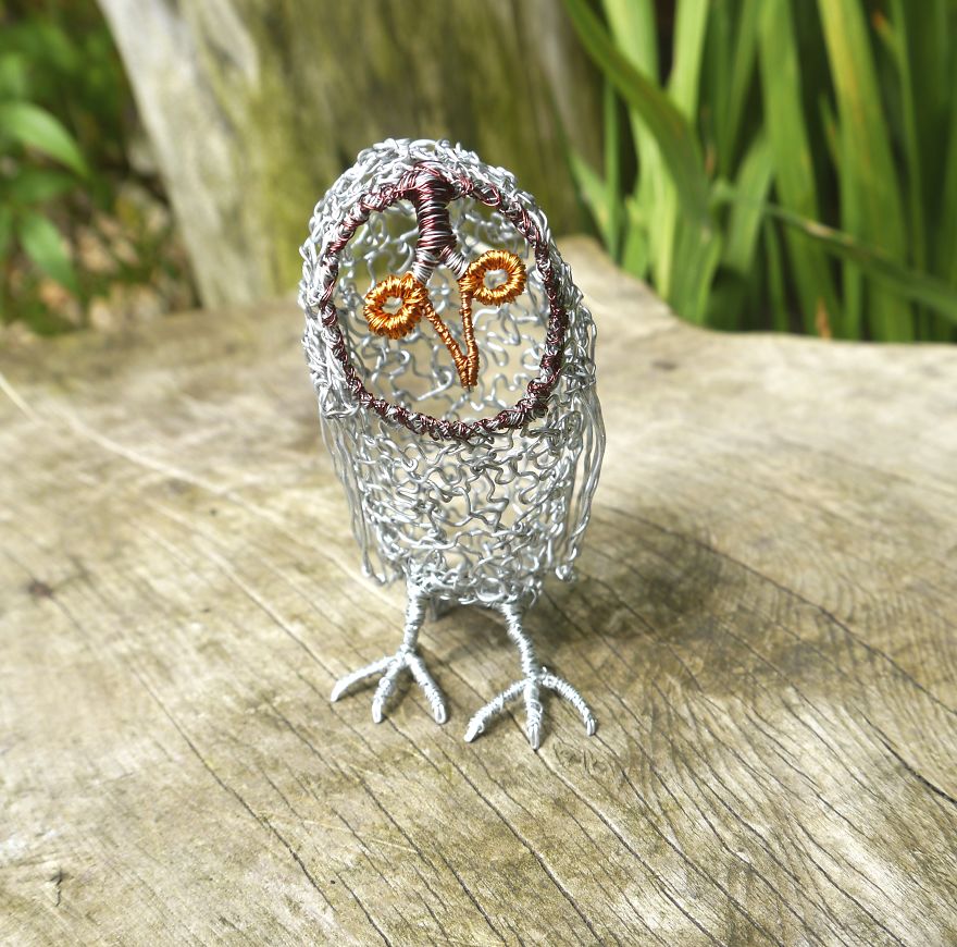 Little Owl By Matt Gale
