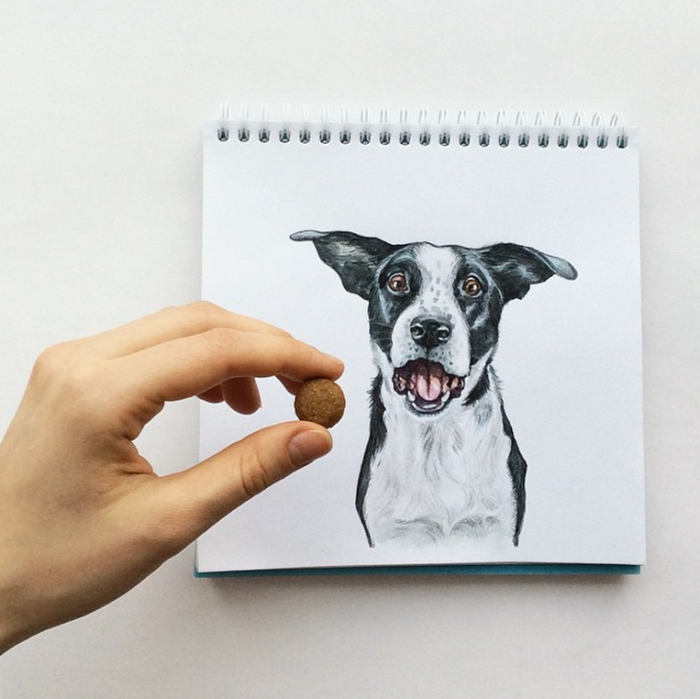 Amazing Dog Illustrations From Valeri Susik!