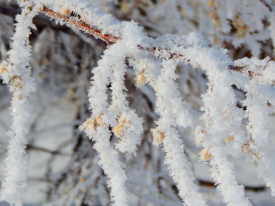The Blues Of Winter