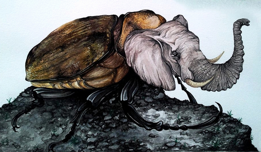 Watercolor Paintings Of Animal-insect Hybrids