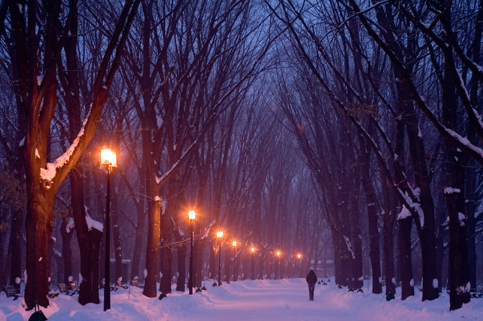 Winter Stroll -- Herestrau Park, Bucharest, Romania