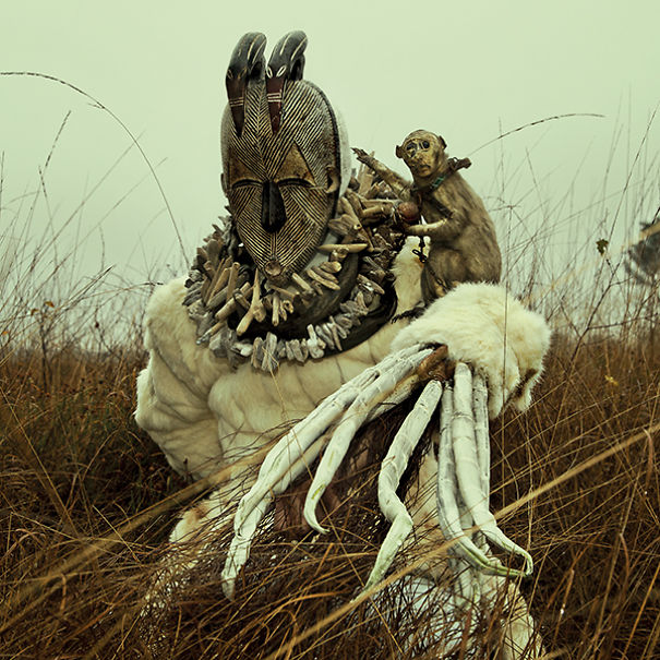 Wounderland: Surreal World Of Imagination, Nightmares And Taxidermy