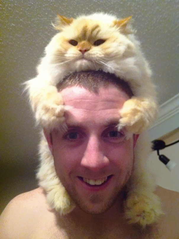 Cat Hat