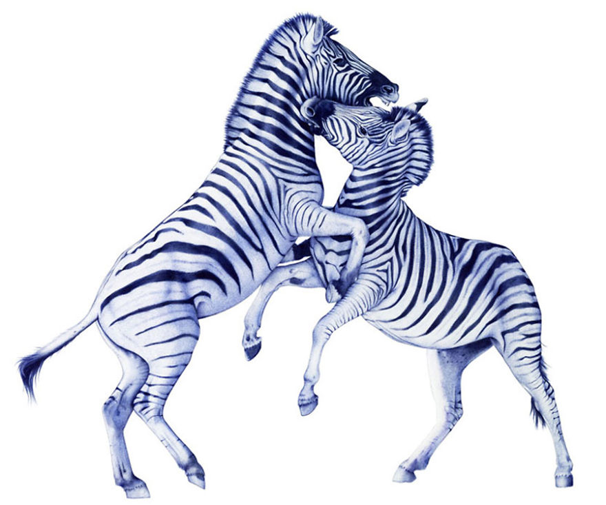 Fighting Zebras