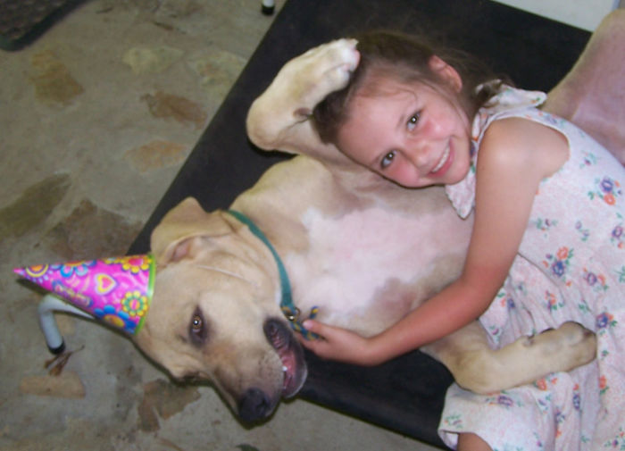 Why Can't He Join In The Birthday Party. He Doesn't Know He Is A Dog.