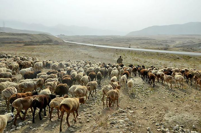 Afghanistan You Never See By Journalist Bilal Sarwary