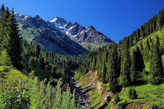 Afghanistan You Never See By Journalist Bilal Sarwary