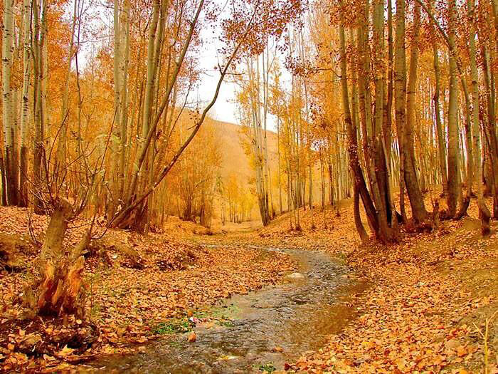 Afghanistan You Never See By Journalist Bilal Sarwary