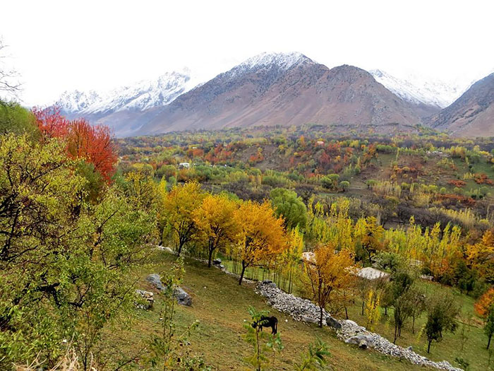 Afghanistan You Never See By Journalist Bilal Sarwary