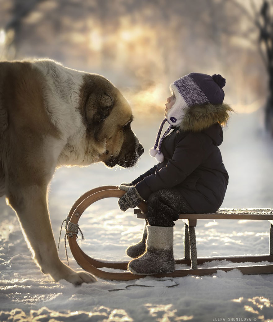 animal-children-photography-elena-shumilova-2-21