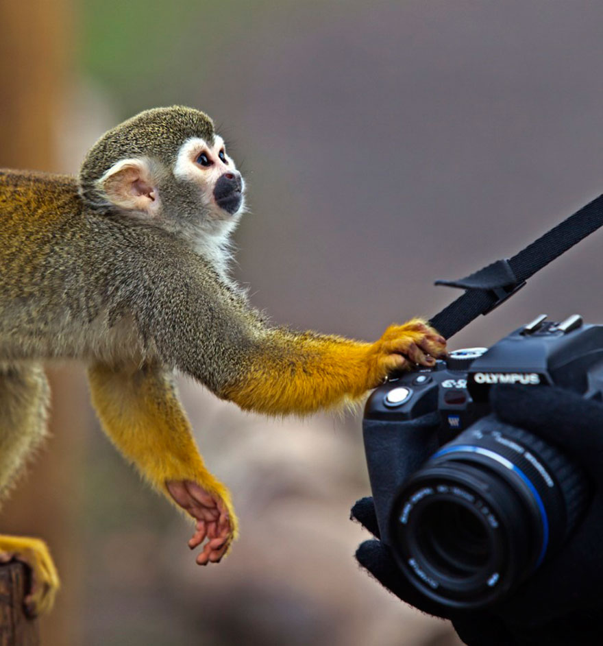 Excuse Me, Can I Have My Camera Back?