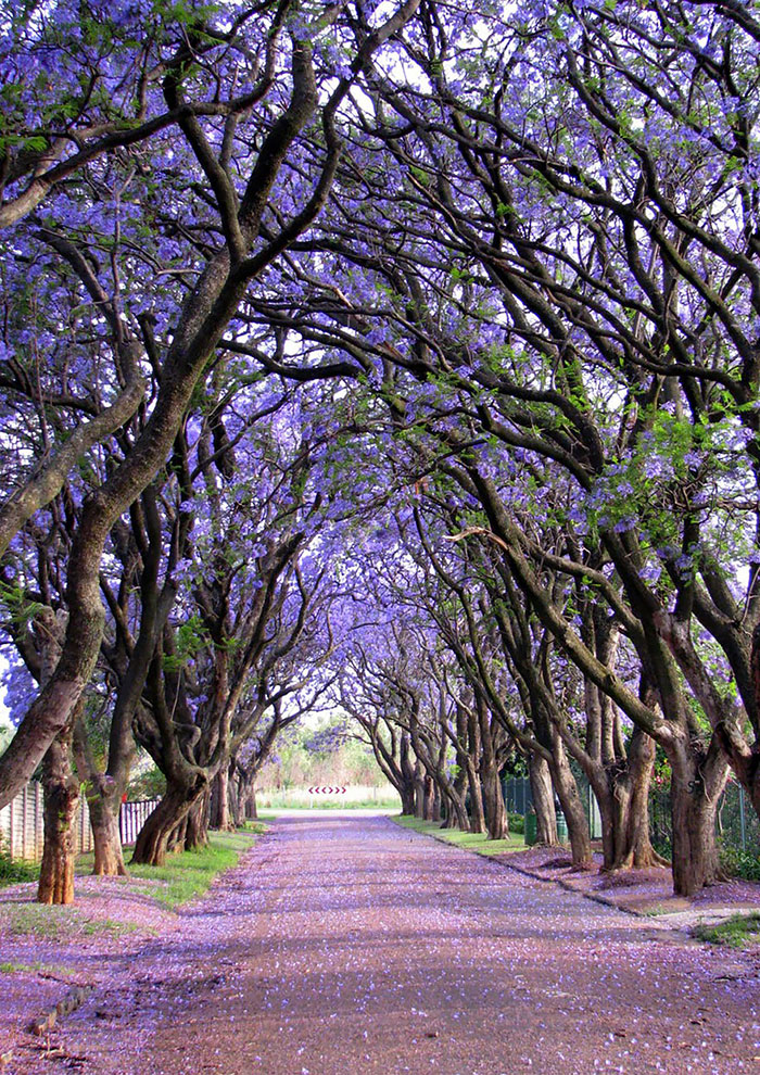 Cullinan, South Africa