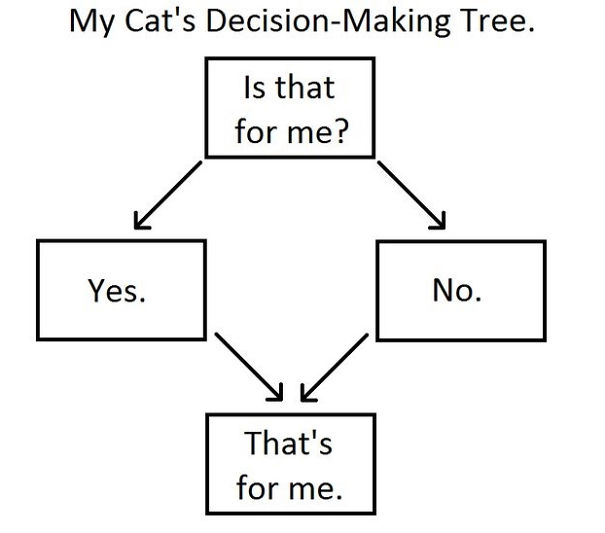 Cat's Decision-Making Tree