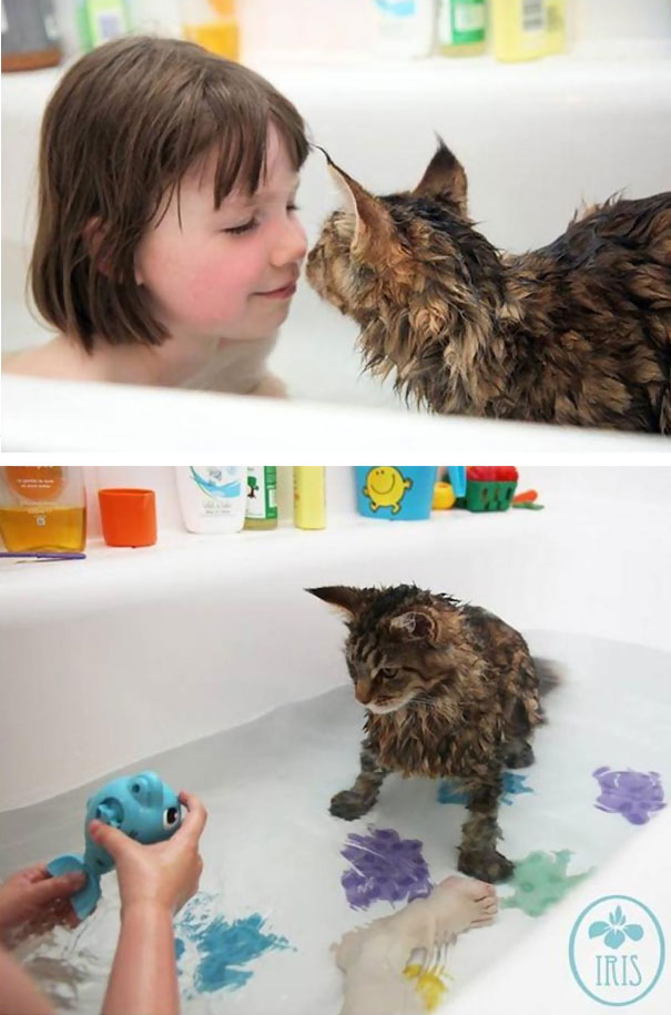 Cat Loves Water