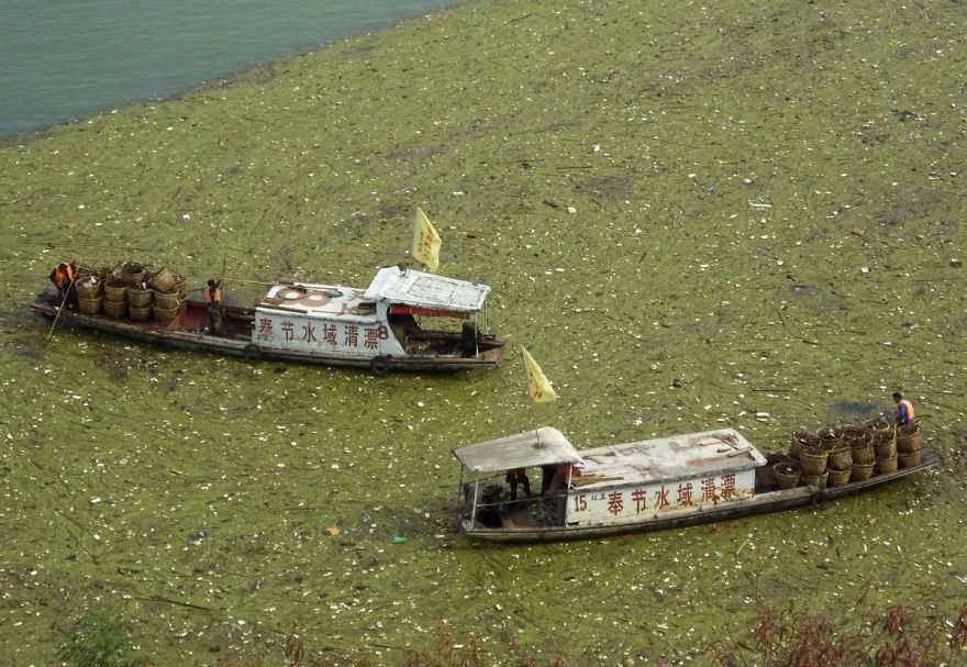 Workers Clean Up Floating Garbage On The Yangtze Rive