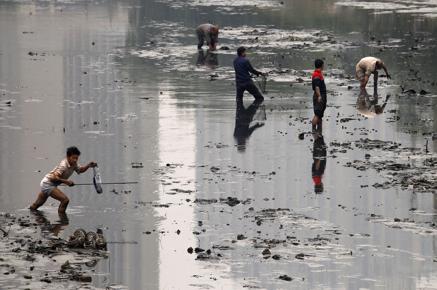 Fishermen Collecting Fish In A Polluted Canal, Beijing