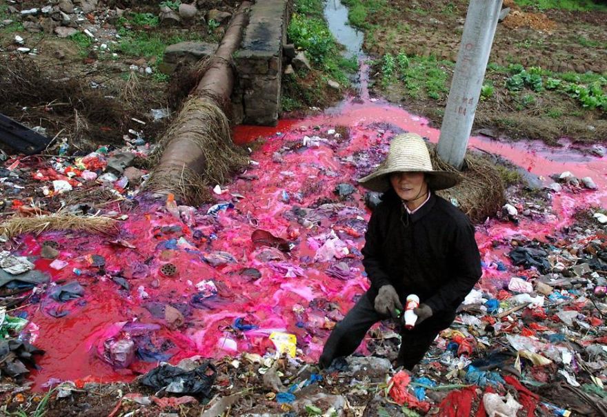 Woman Collects Plastic Bottles Near River Polluted By Reddish Dye