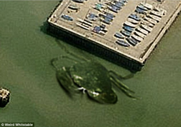 Someone Just Found The Most Terrifying Thing On Google Maps. I Have Chills All Over!