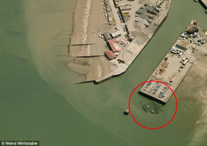 Someone Just Found The Most Terrifying Thing On Google Maps. I Have Chills All Over!