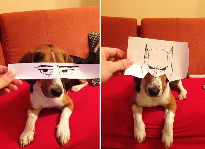 I Create Funny Eye Illustrations For My Dog Juno