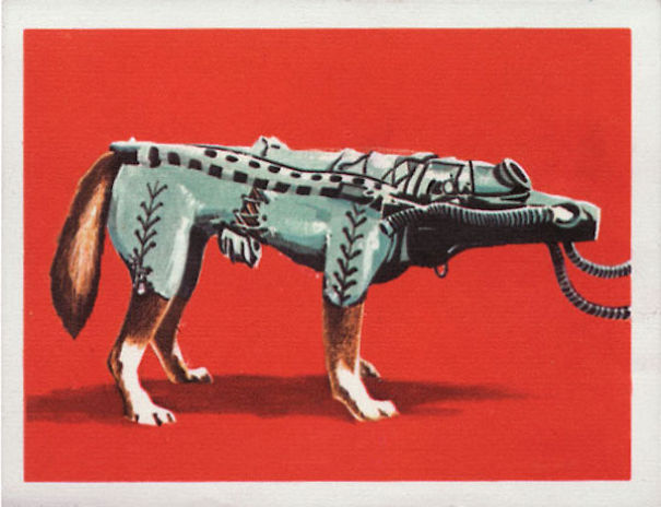 The Soviet Space Dogs Who Took Giant Leaps For Mankind