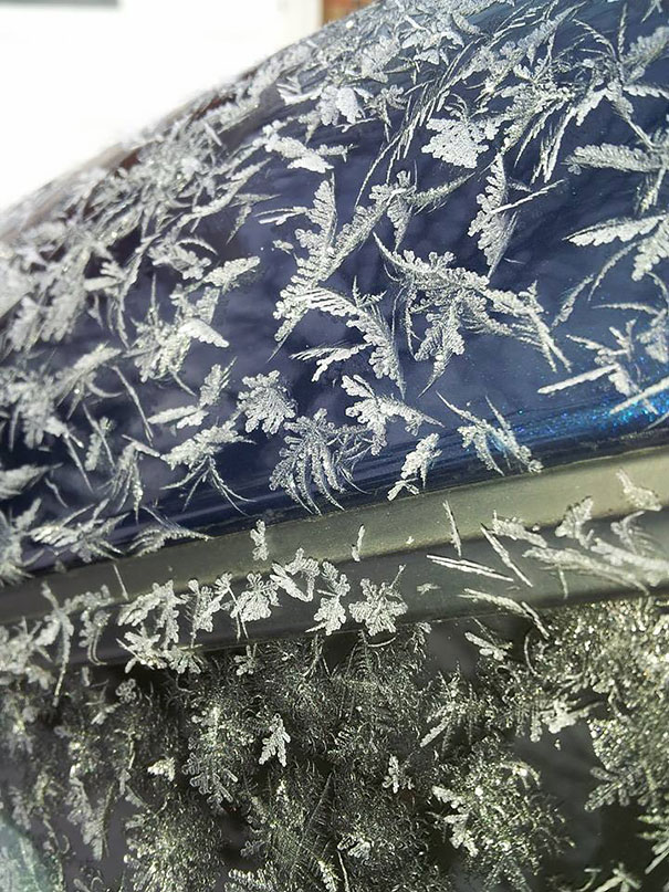 One Morning Last Month My Car Had Been Ice Feathered