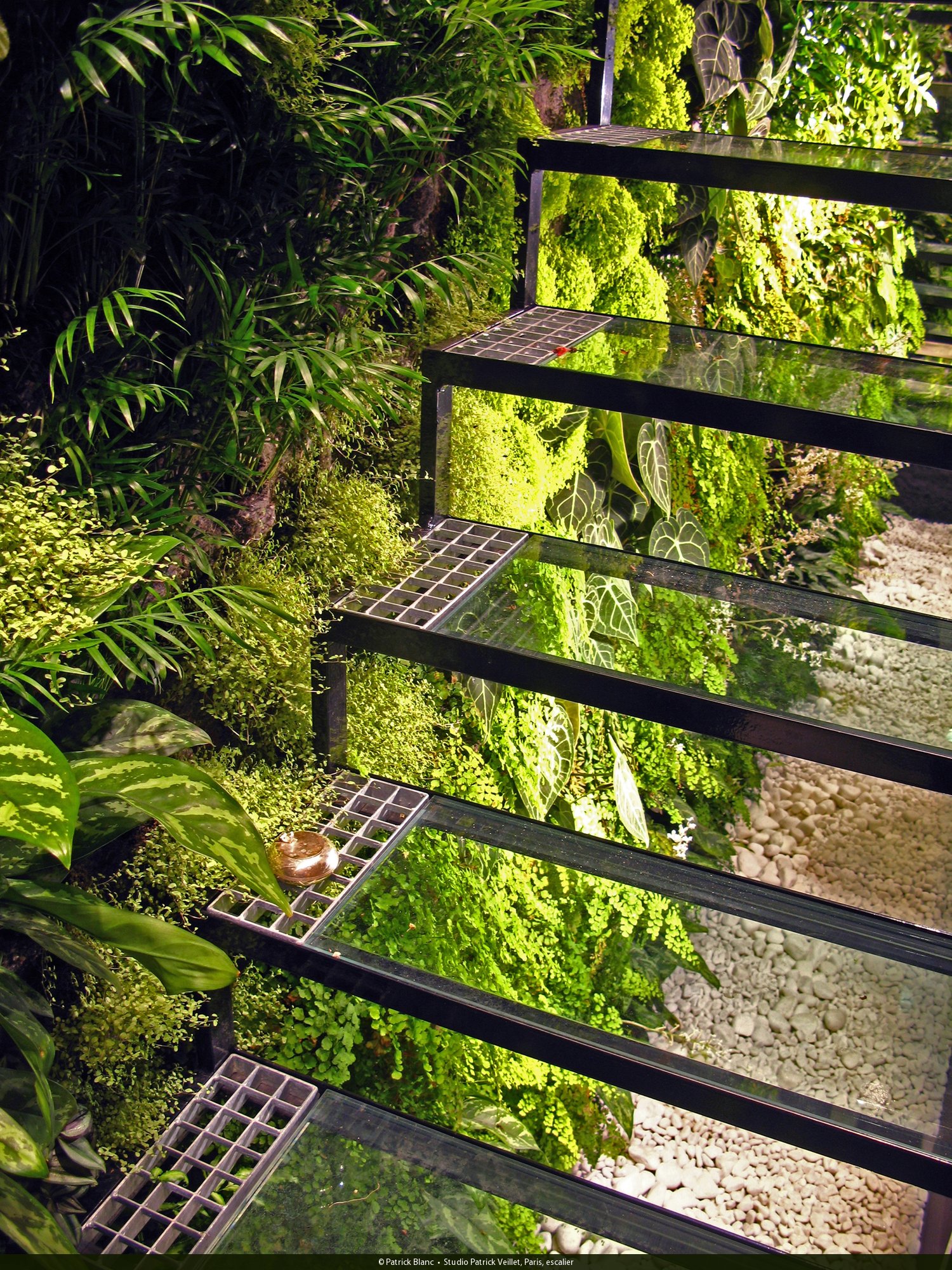Greenhouse Stairs