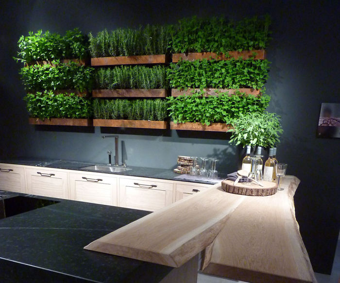 Herb Garden Kitchen Wall
