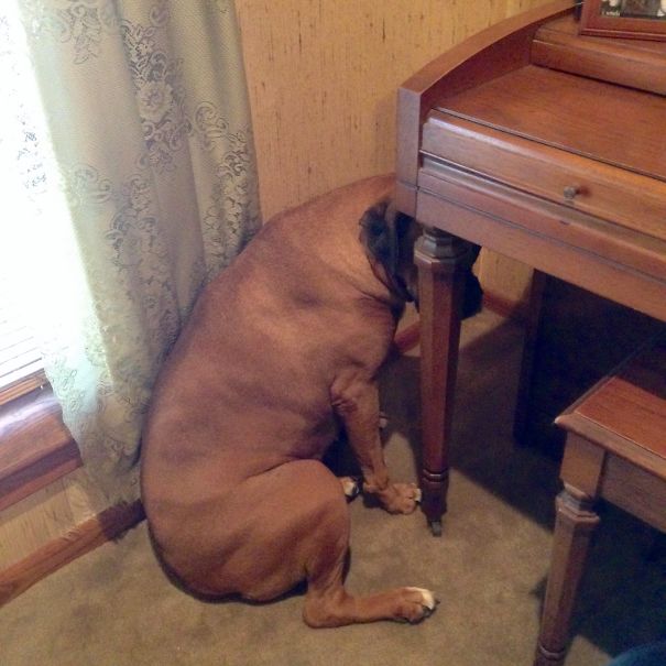 Boxer, Think Like A Piano, Be The Piano.