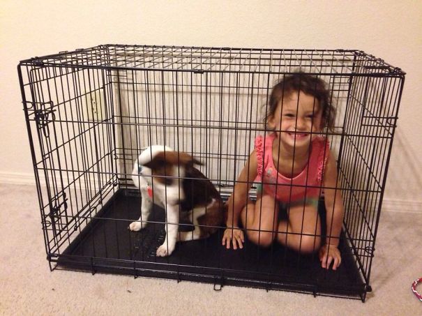 She Said The Kennel Is Their Bedroom