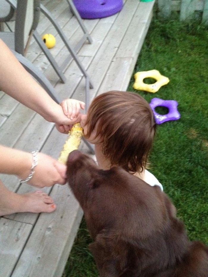 Is My Kid A Dog Or Is The Dog A Human