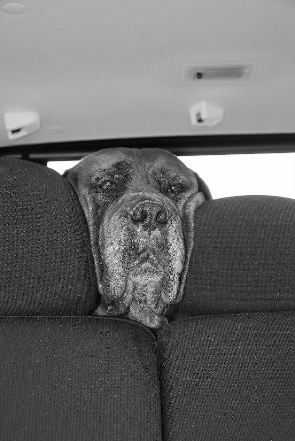 Nelly My Neo, Who Wants To Fit Between The Car Seats!