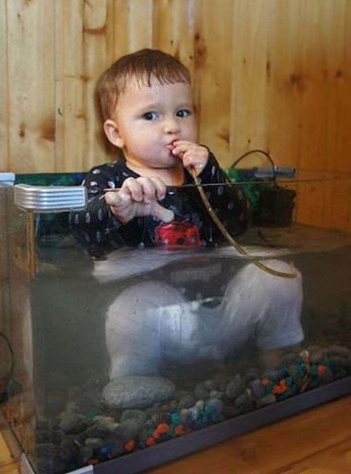 Fish Out Of Water